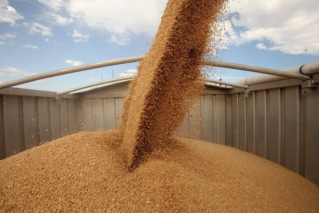 Зокрема потребують допомоги: створення підприємства по зберіганню зерна актуально і вигідно
